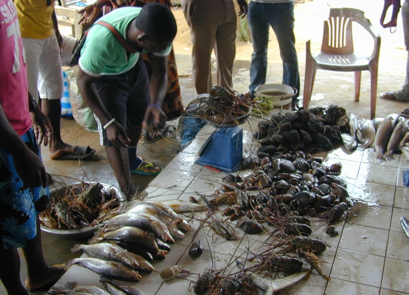 marché de poisson et des langoustes