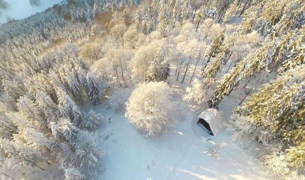 Drohne-50cm-Schnee