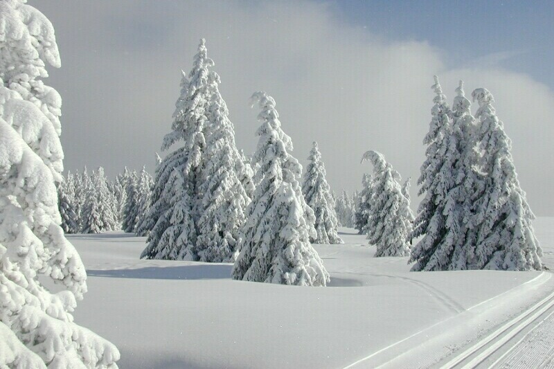 Stbenwasen im Schnee